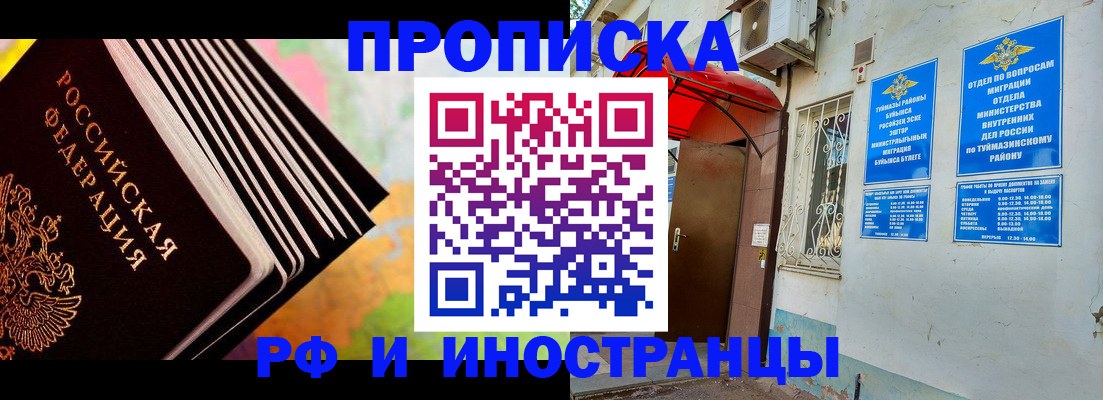 прописка штамп в Купино